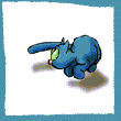 Kot